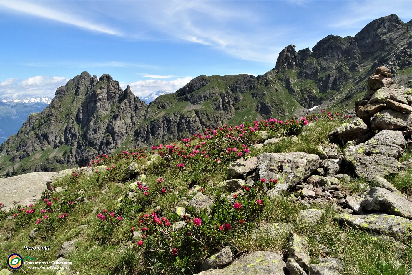 35 Valle di Trona fiorita con vista sul Pizzo di Mezzodi e Torrione di Mezzaluna a dx.JPG